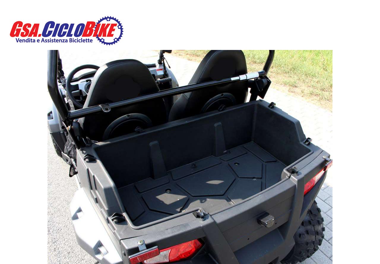 maxi buggy 200cc